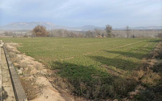 Terreno en venta en Calle Huerta, 8, Láchar