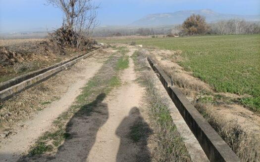 Terreno en venta en Calle Huerta, 8, Láchar