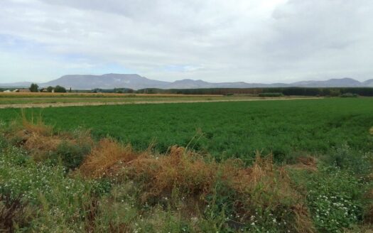Terreno en venta en Calle Reina Sofia, Chauchina