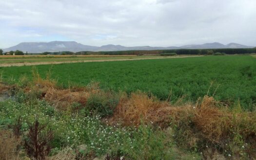 Terreno en venta en Calle Reina Sofia, Chauchina