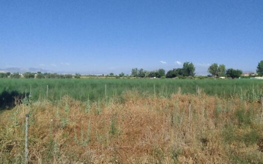 Terreno en venta en Calle Rodrigo de Triana, Cijuela
