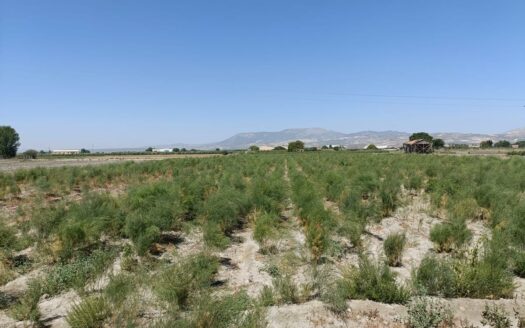 Terreno en venta en Desconocido Gr-3401 de A-92 a Estacion de Illora, Chauchina