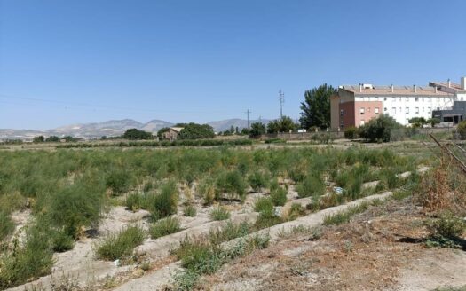 Terreno en venta en Desconocido Gr-3401 de A-92 a Estacion de Illora, Chauchina