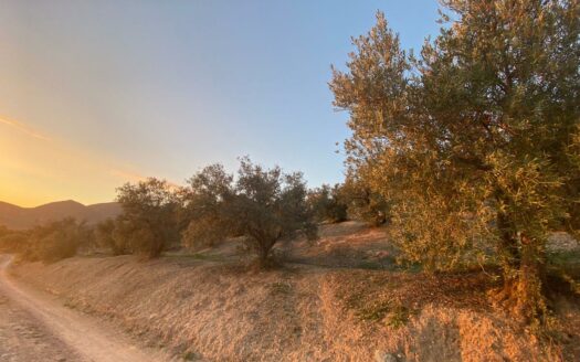 Terreno en venta en Urbanizacion Suelo Urb. Si-15, 25, Atarfe